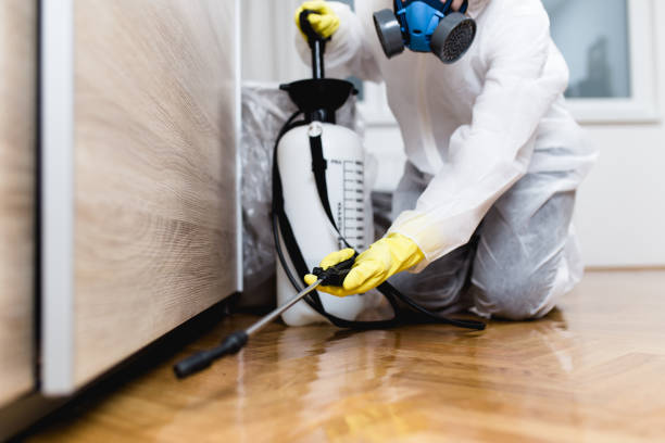 Best Pest Prevention Services  in Steele, MO