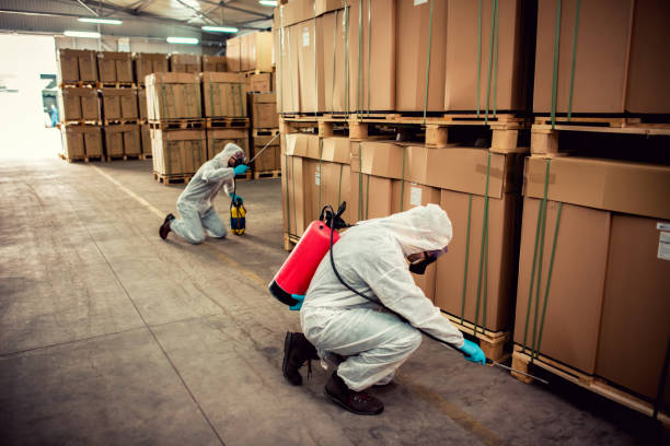 Best Best Pest Control Companies  in Steele, MO