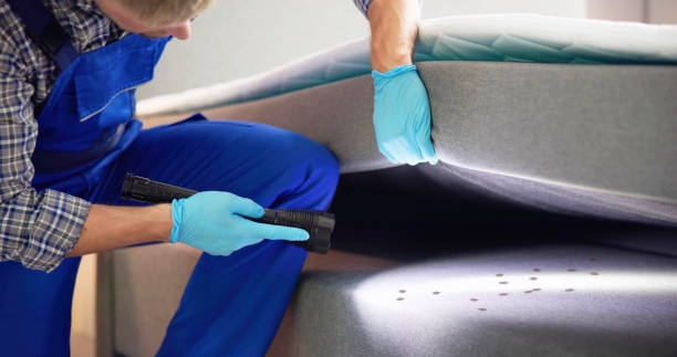 Pest Control Cost in Steele, MO