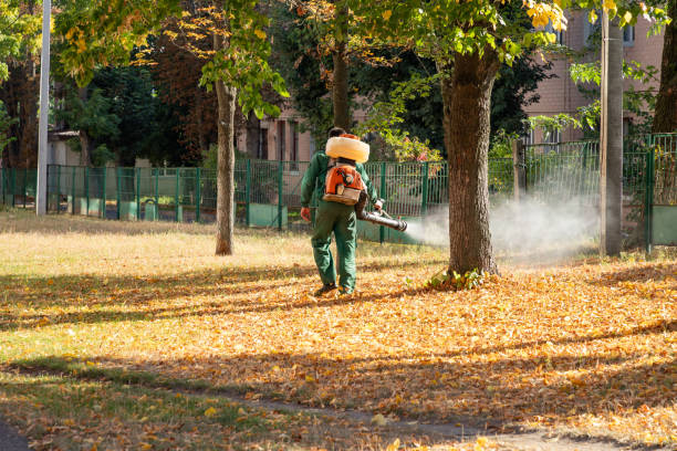 Best Commercial Pest Control Services  in Steele, MO