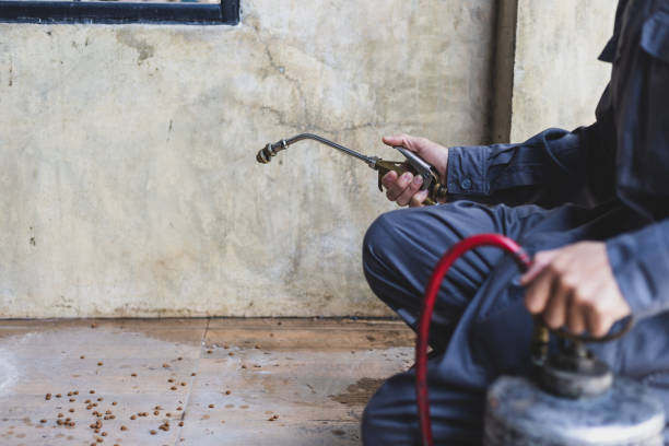 Best Pest Control Cost  in Steele, MO